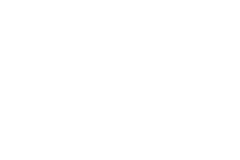 VERMICULAR